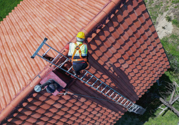 Best Roof Ventilation Installation  in Hawthorne, NV